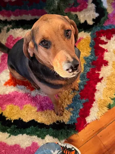 A Few Of My Favorite Things