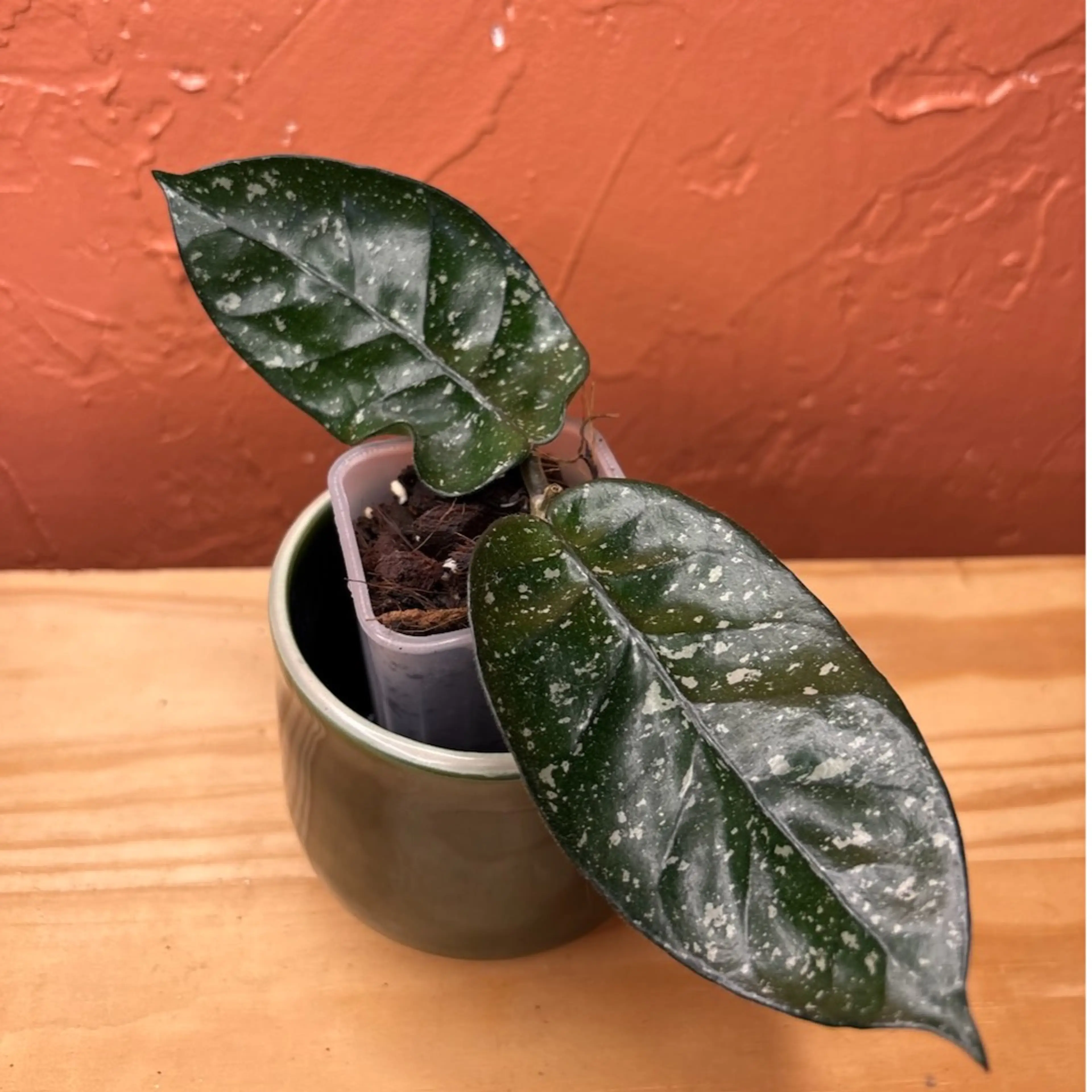 Image 1 of 3