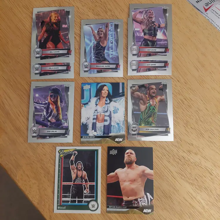 Lot of 23 wrestling cards. Letter D. Rookies, parallels +.