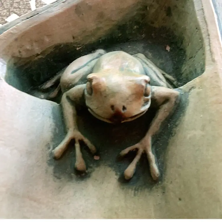 Cool Green Ceramic Frog Incense Burner Or Catchall