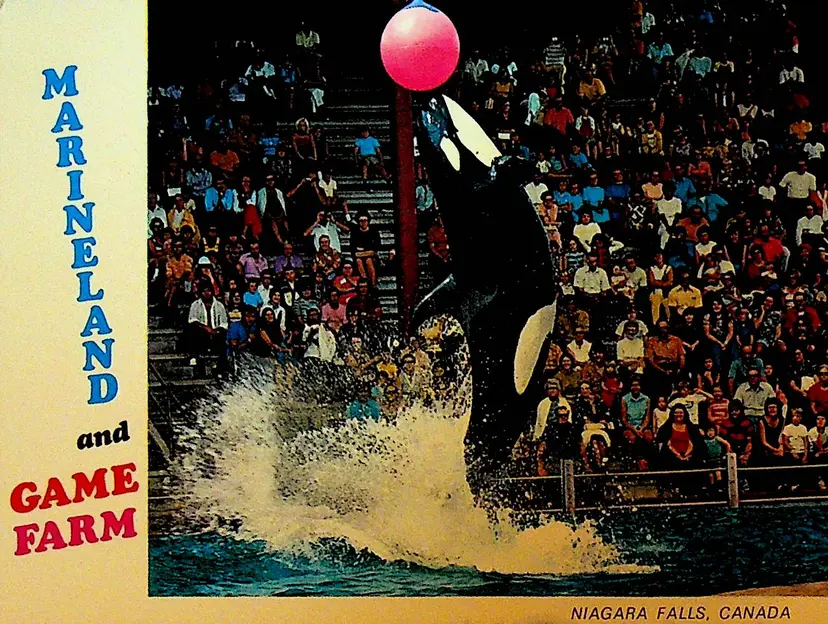 Marineland and Game Farm Unused Postcard