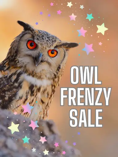 🦉 OWLS FOR SALE 🦉 