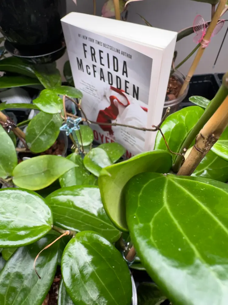 Planty Bookclub The Boyfriend By Frieda McFadden 