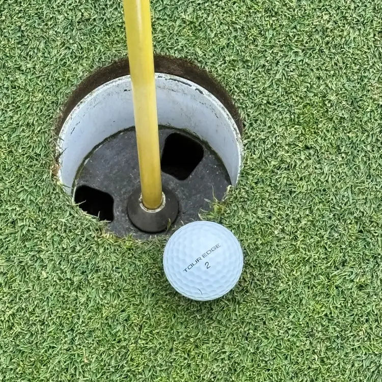 Wilson staff Balls 11-29