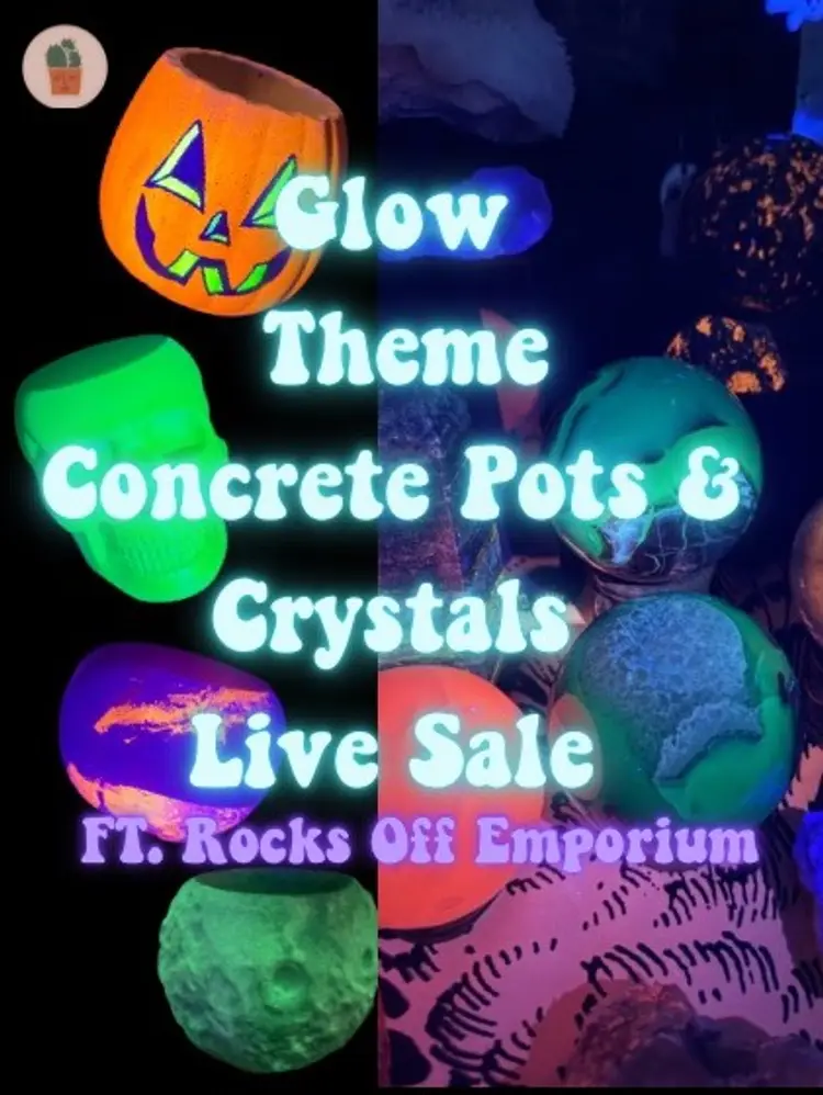 Black Light & Glow LIVE w/ Rocks Off Emporium!