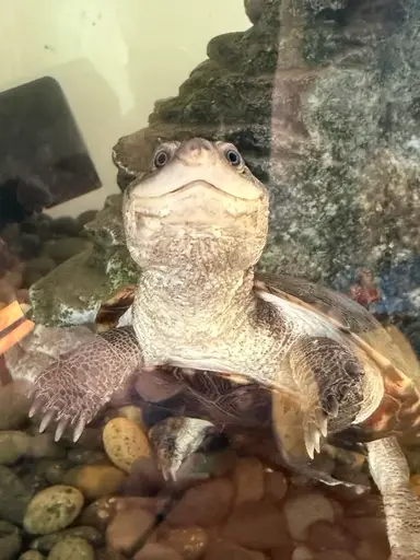 5PM Good Stuff From Brimfield + Jewelry