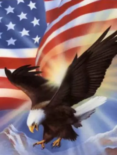 Plush T-Shirts And Other Stuff