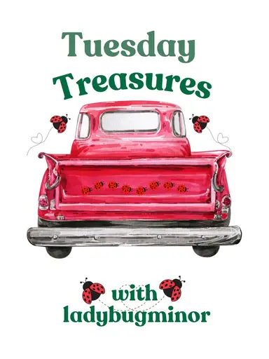 🐞Tuesday Treasures with Ladybugminor🐞