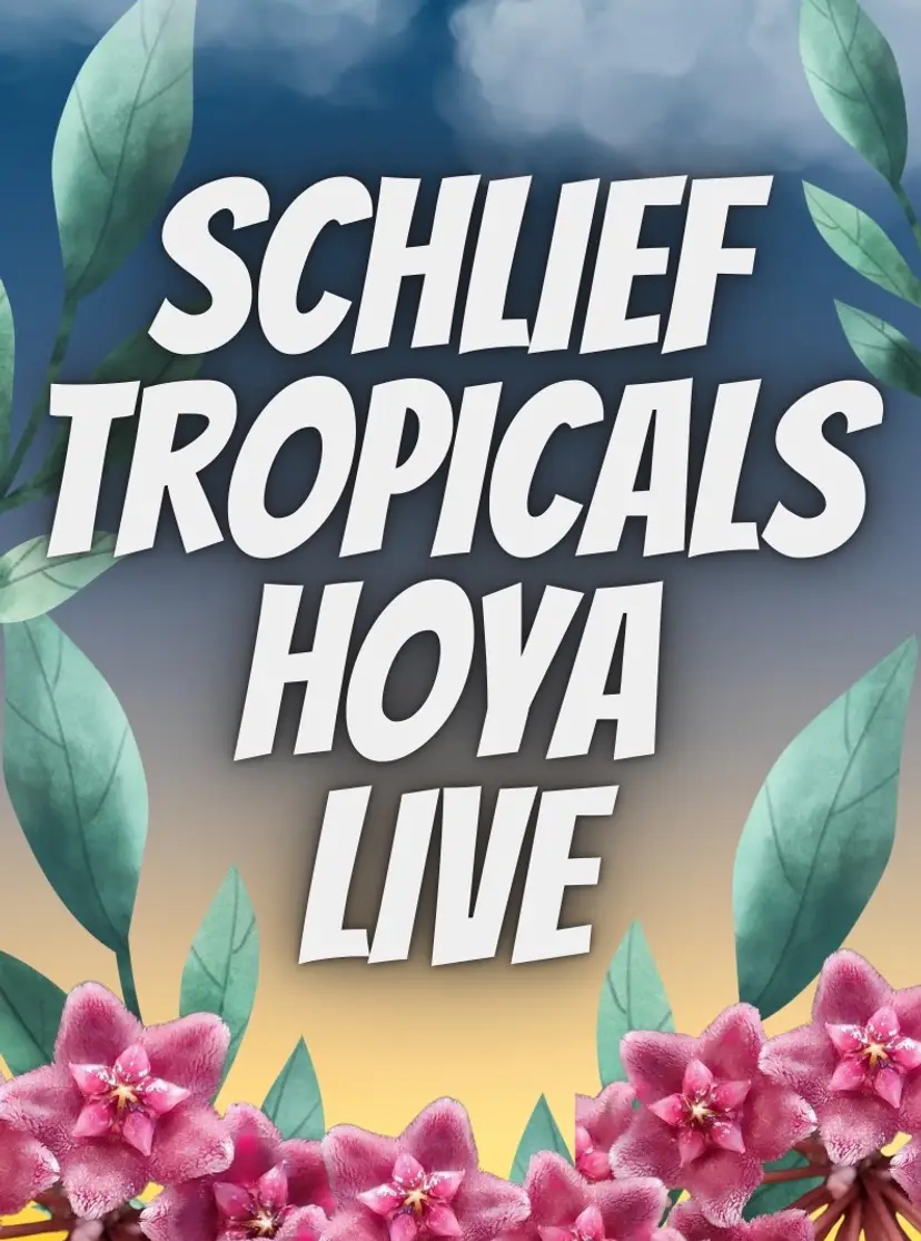 Livestream thumbnail