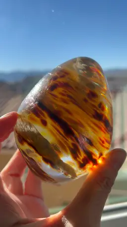 Egg Shaped Paperweight Iridescent Outside & Tortoise Shell Inside Signed Jeff Price SEE VIDEO