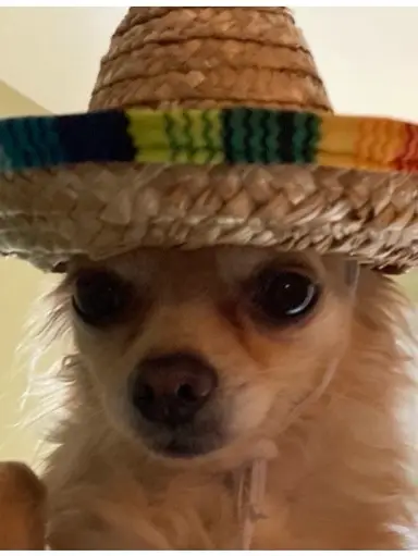 Retail Therapy Thursday! Vintage Variety! 