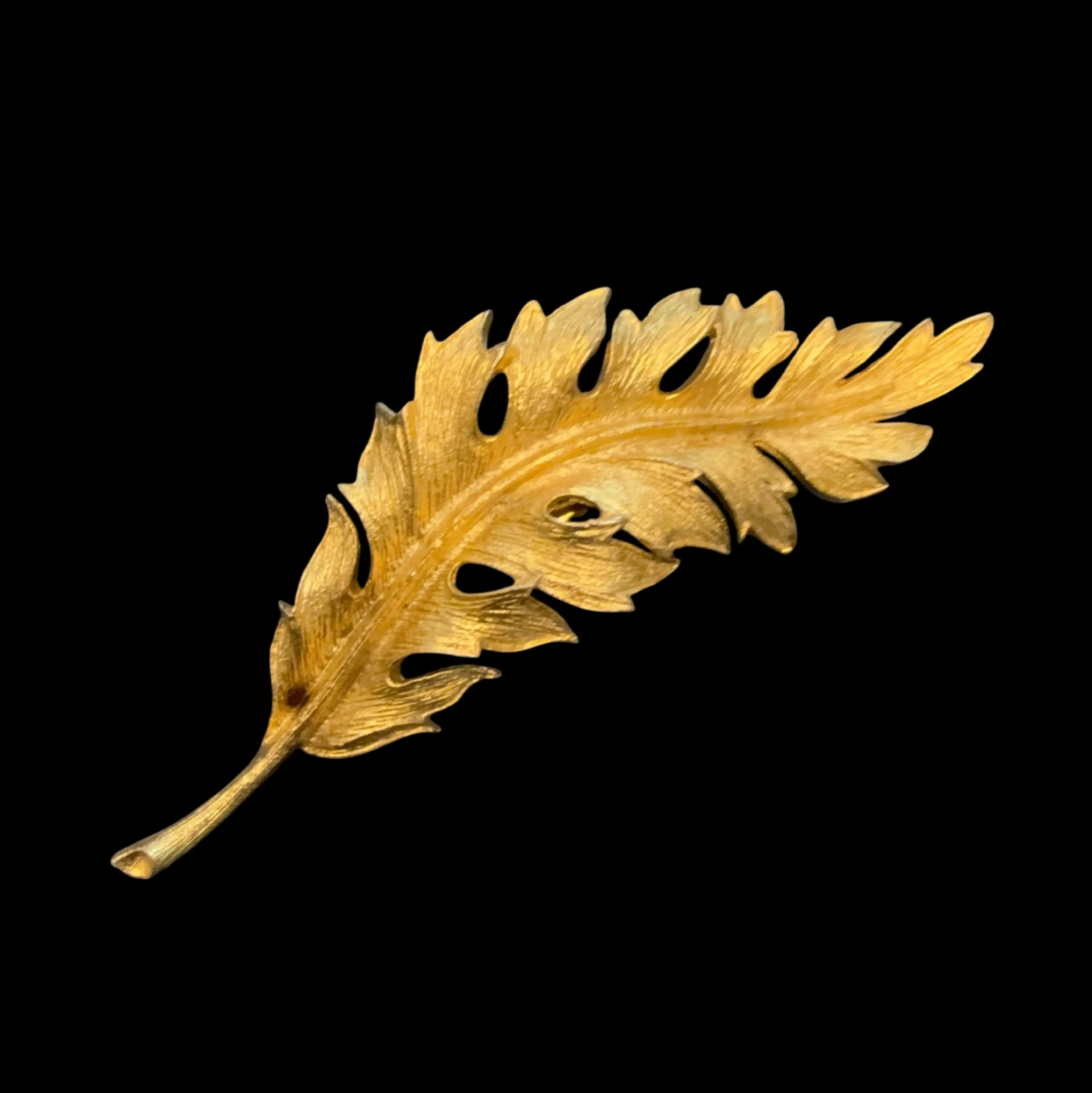 Image 2 of 5