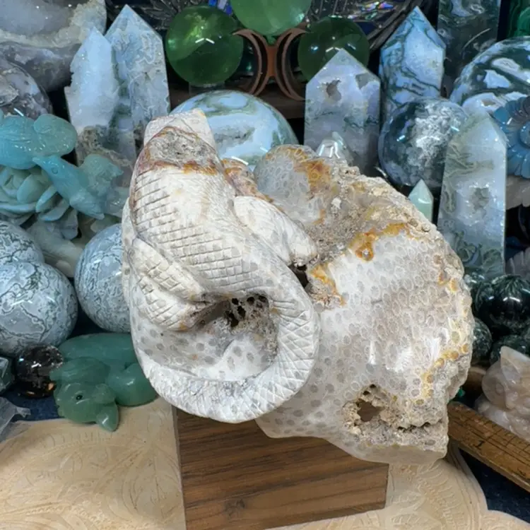 Iguana On Skull Coral Jasper