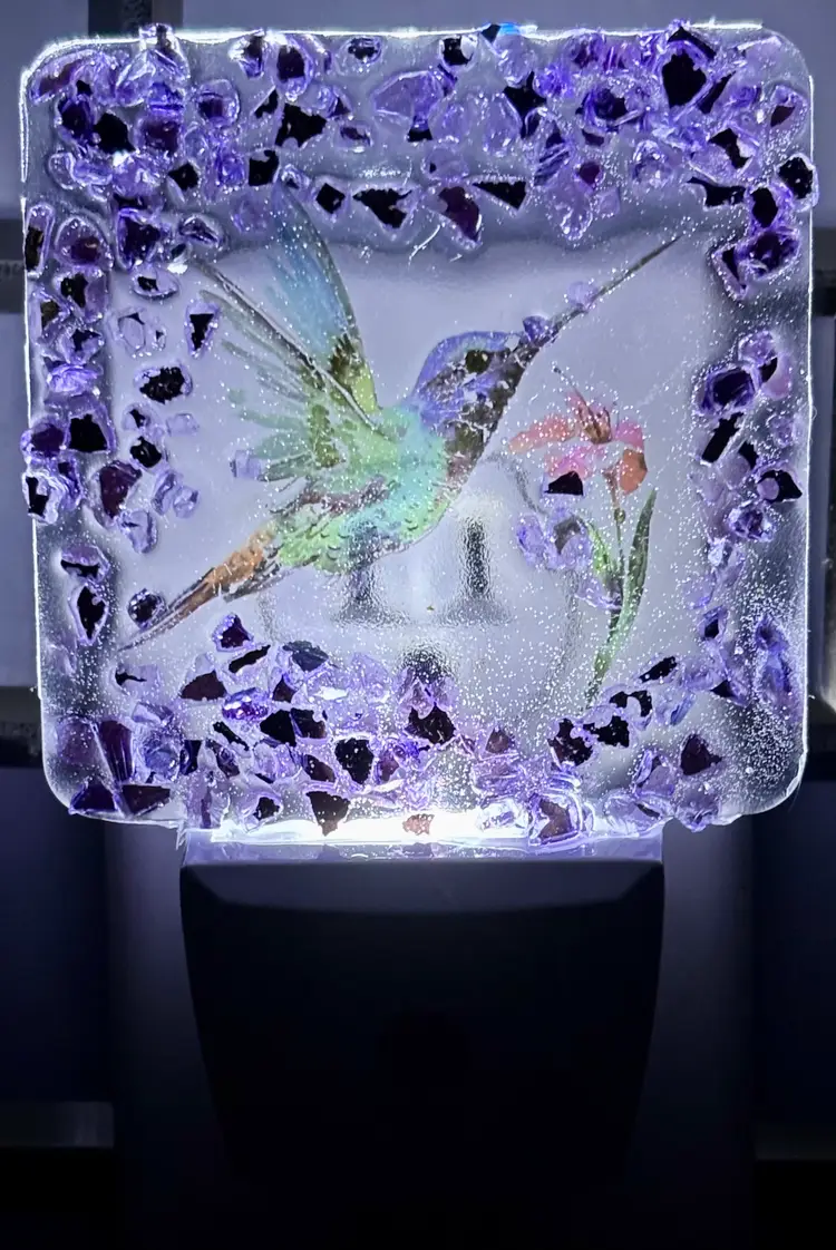 Night Light Humming Bird & Flowers (made by me)