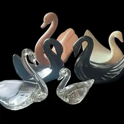 #04 - Choice Of swans 🦢!!!!