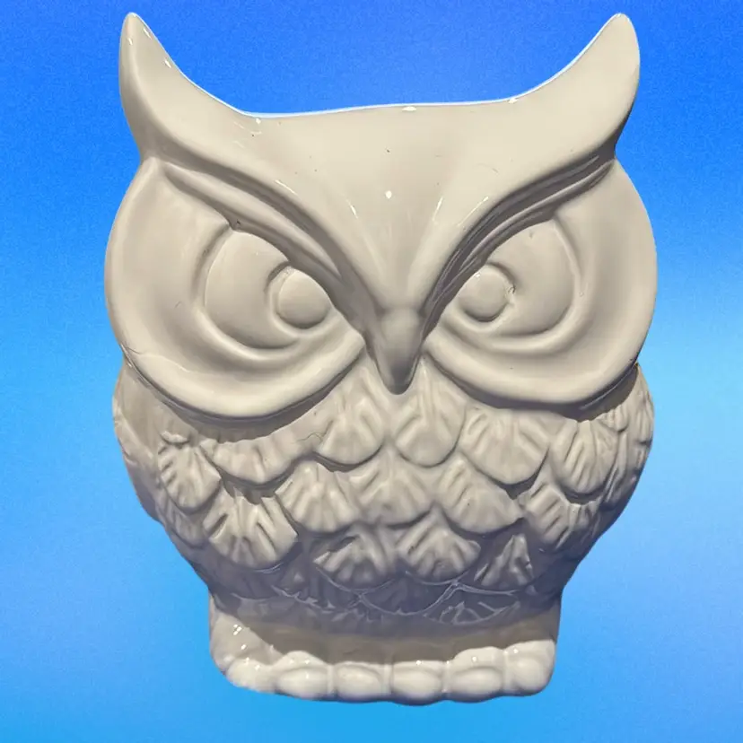 White Ceramic Owl Bank With Stopper