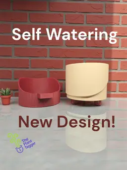 The Sprout Spout Maroon/Basic