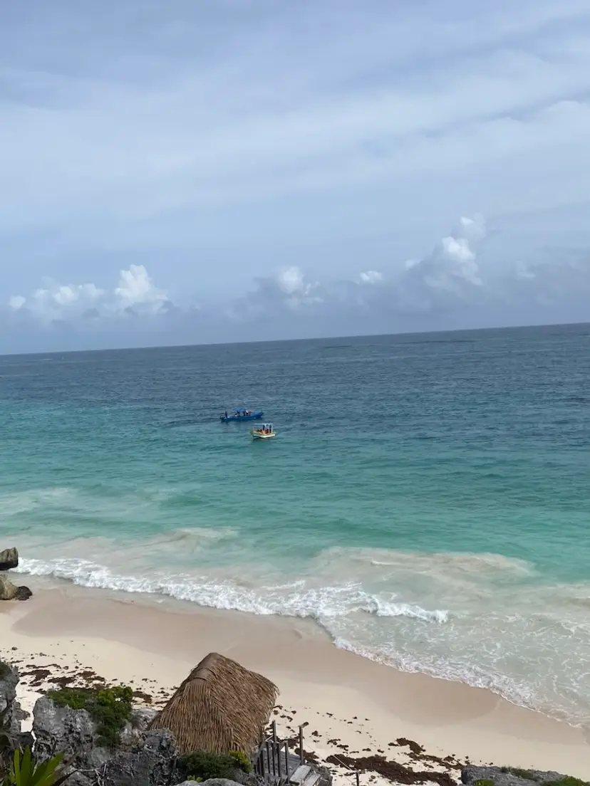 Livestream thumbnail