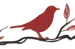 Eclectic Collectionista