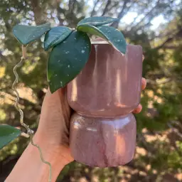 4.75” Chestnut & Gold Double Bubble Concrete Planter