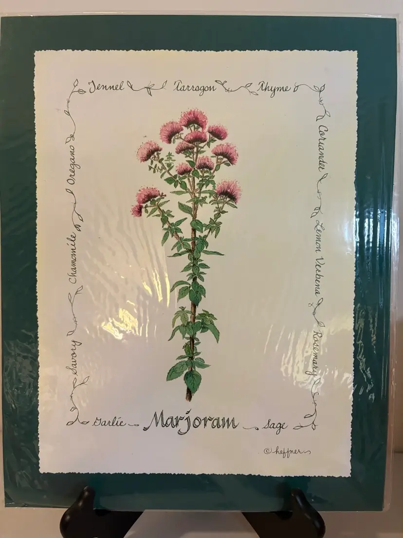 Set Of Three Herbal Prints By Pacific Northwest Artist M Hefner