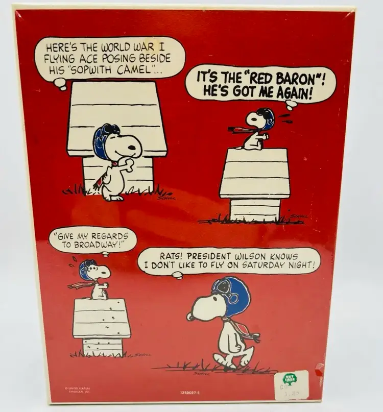 Hallmark Snoopy And The Red Baron NIB Plastic Glass Party Set