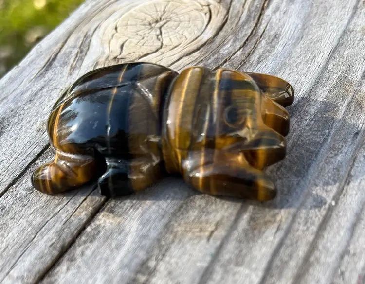 Artisan Carved Tiger Eye Beetle Bug CLOSEOUT AUCTION