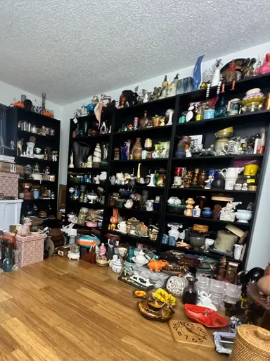 🏝️SHOP MY SHELVES💋