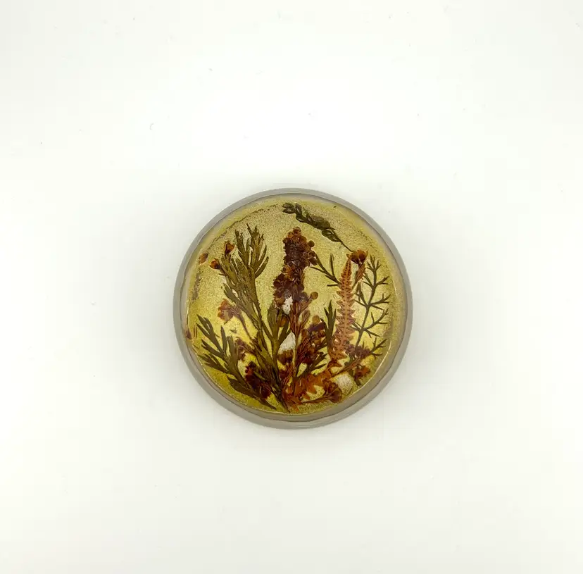 Vintage Glass Half Dome Botanical Paperweight 3.5βx 1.5β