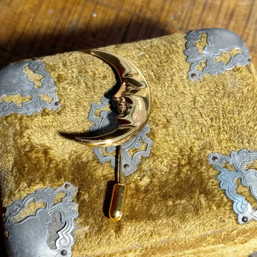 Vintage Crescent Moon Stick Pin 2.5”