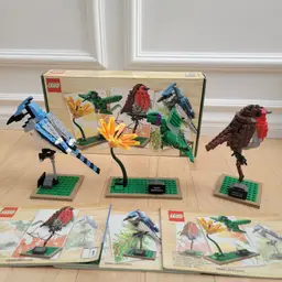 Lego Ideas 21301 - Birds, Used, Complete with Box, Manuals, and Extra Pieces
