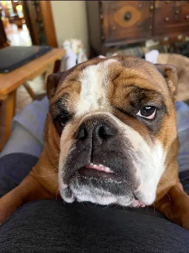 Rosey Invites You To The Friday Night Show! We Have Mosser Trees!!!!🌲 