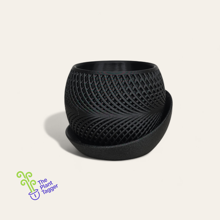 Tight Belt Black