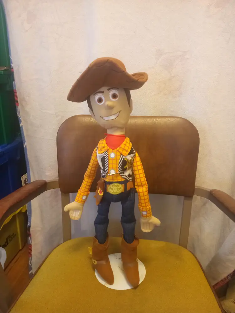 Woody form Toy Story