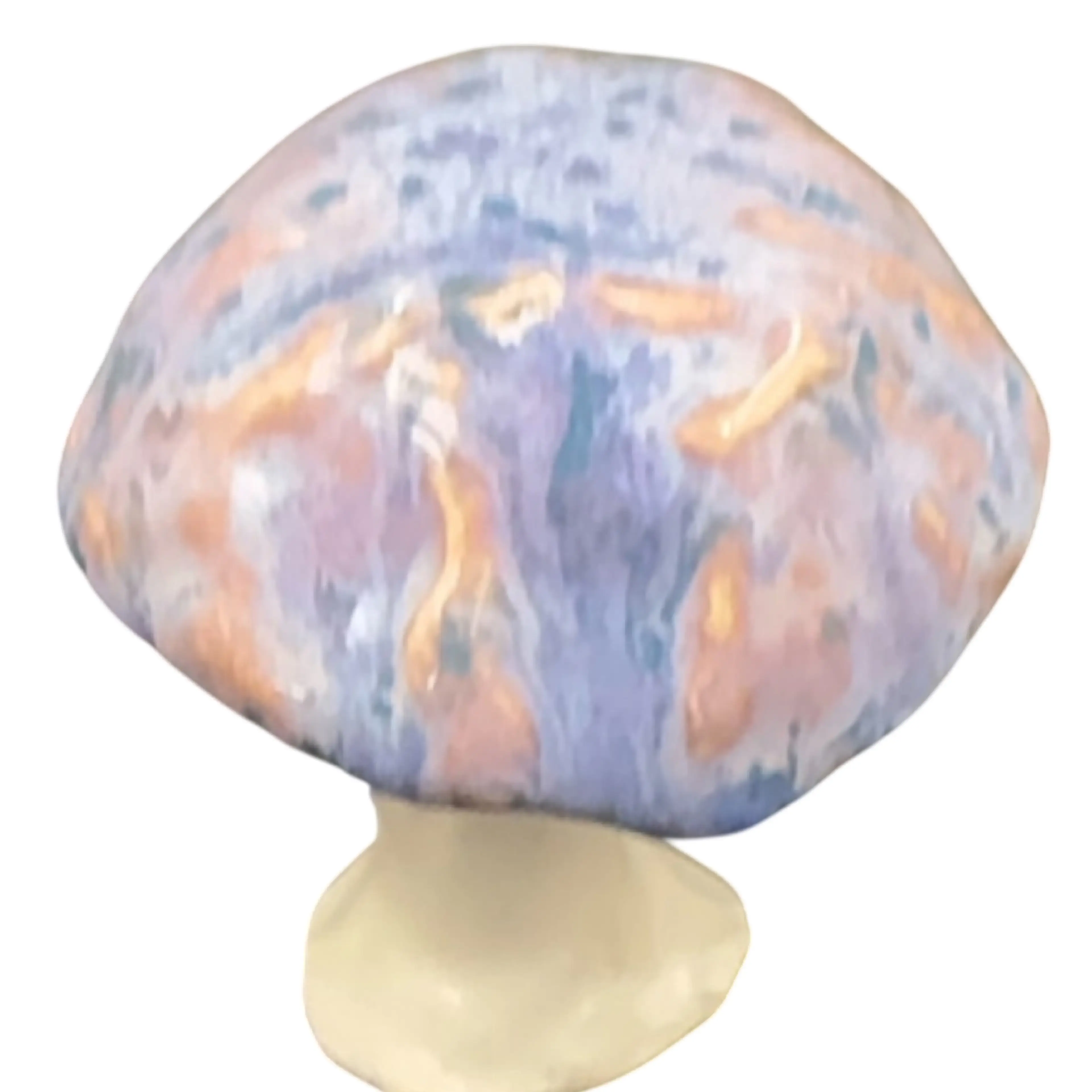 Image 4 of 6