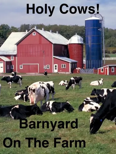 Holy Cows! Barnyard! On The Farm!