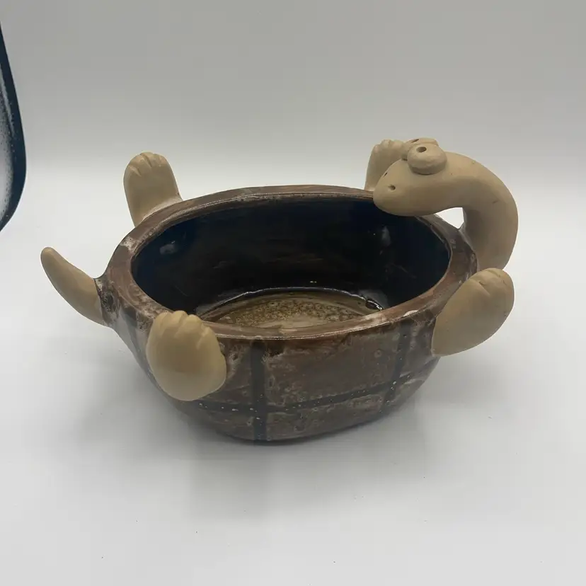 Derpy Turtle Planter 10.5 Long
