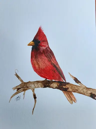 Waiting In The Wings