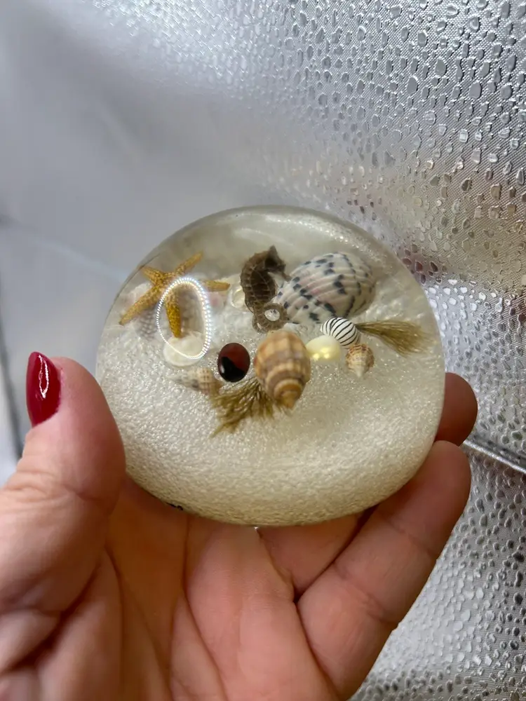Seashell / Seahorse Lucite / Resin Paperweight