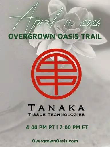 TTT Pingdom | Live @ 4 PM PST 4/11