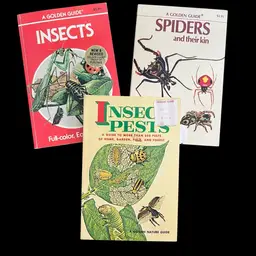 Set Of Three Golden Guide Pocket Reference Books, A Golden Guide Spiders And Insects And Pests, Vintage Insect Ephemera, Vintage Insect Reference Book