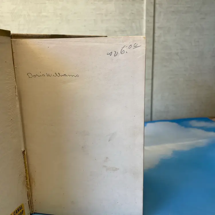 Early 1900’s Christmas Pudding And Other Brownie Stories