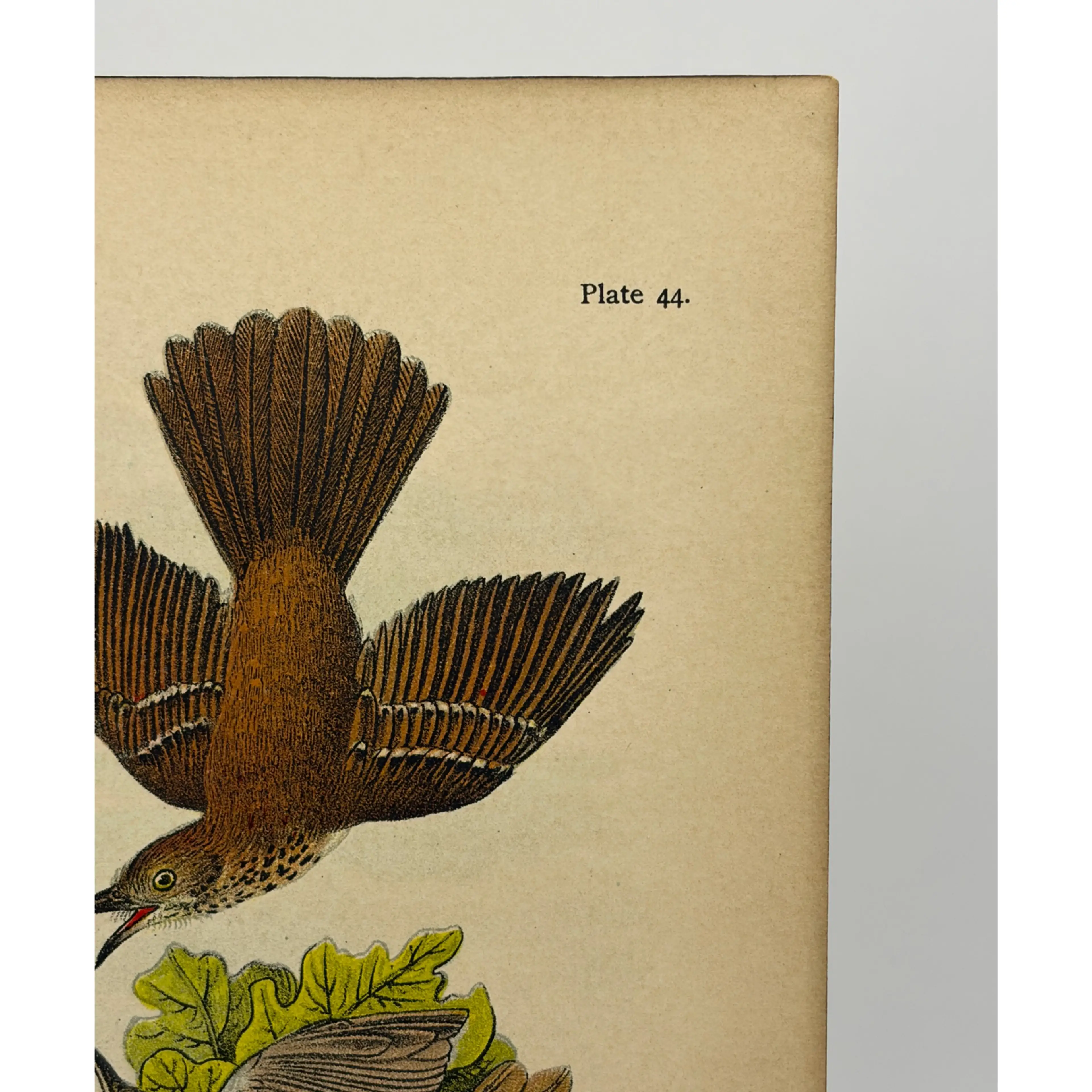 Image 3 of 9