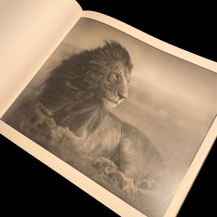 Nick Brandt Inherit the Dust ART Hardcover Coffee Table Book