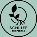schlieftropicals