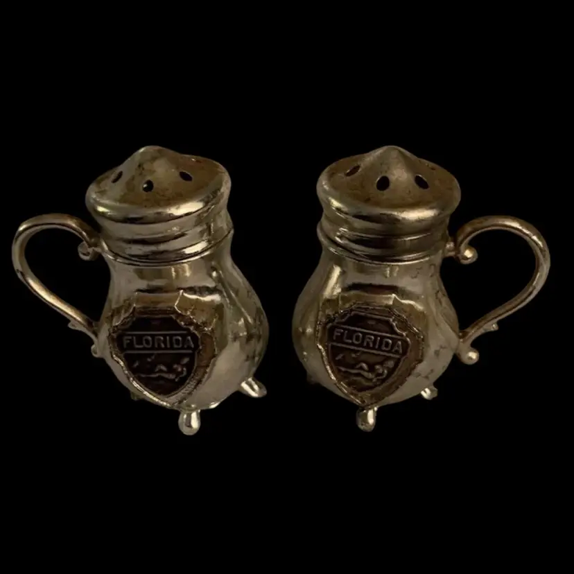 Vintage Florida Souvenir Japan Salt And Pepper Shaker Set EUC