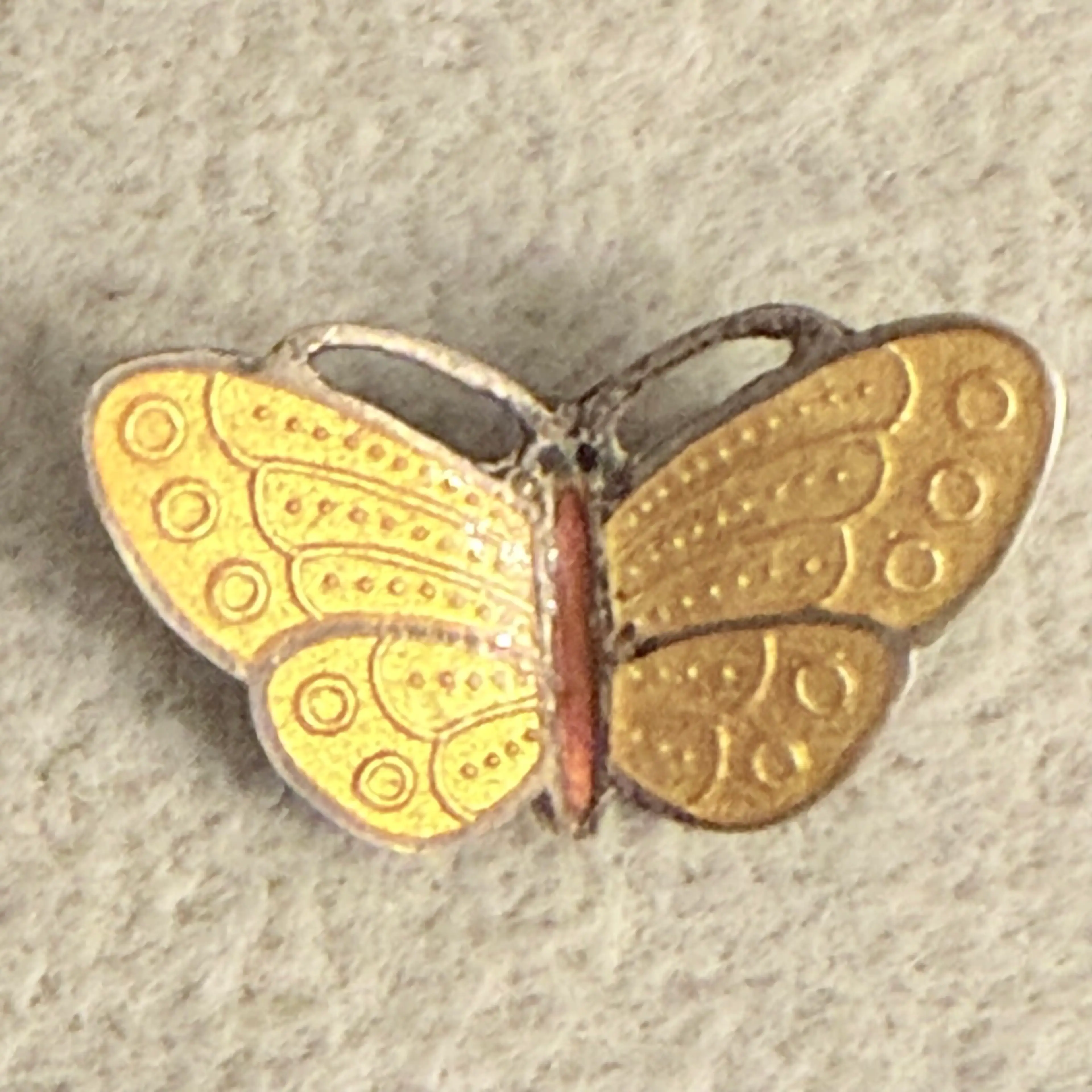 Image 3 of 6