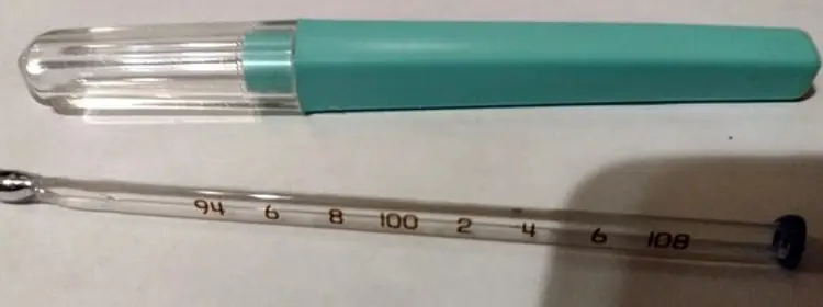 Vintage Faichney Glass Oral Thermometer & Case MICH 1 USA