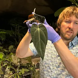 Carla X Black Velvet S #1