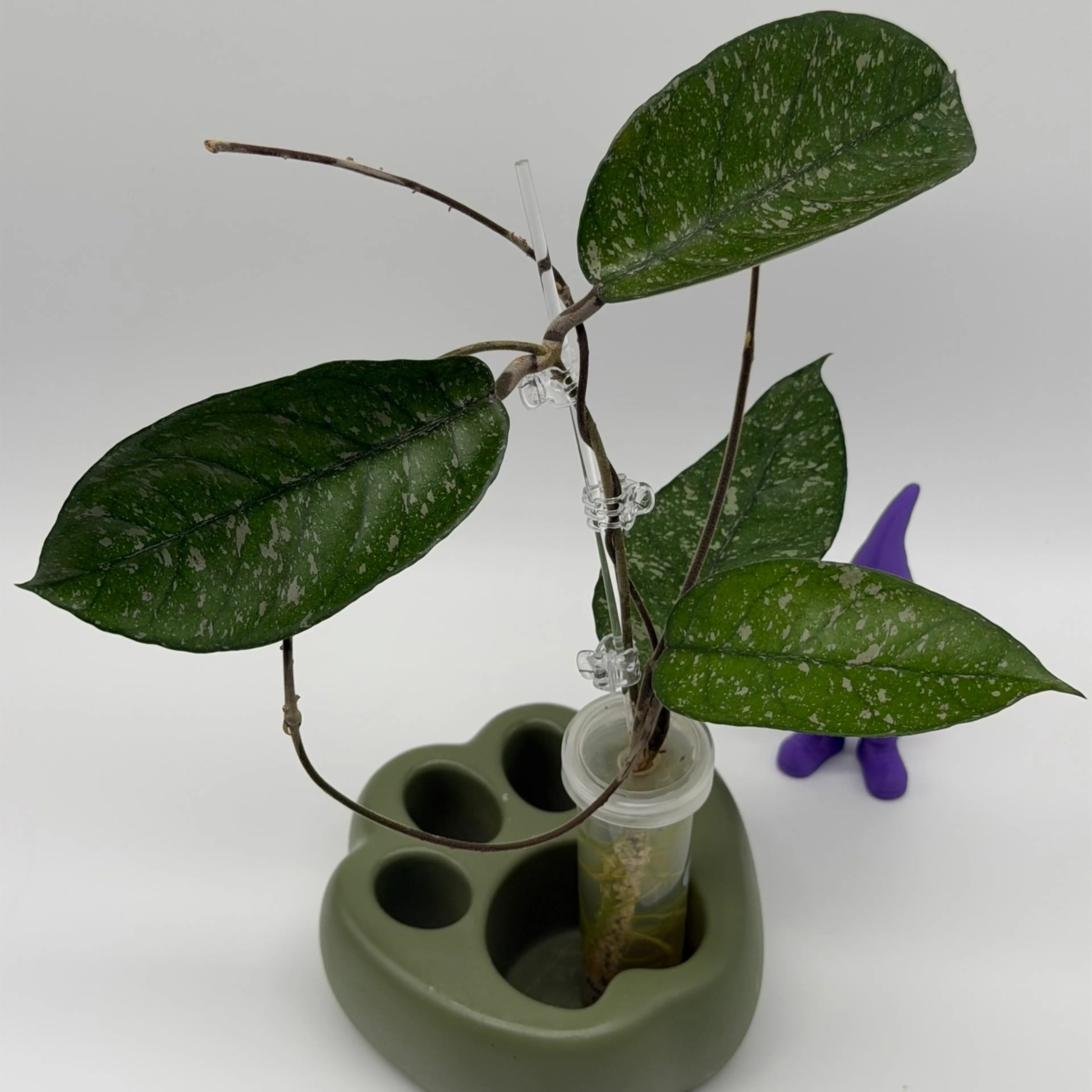 Image 3 of 3